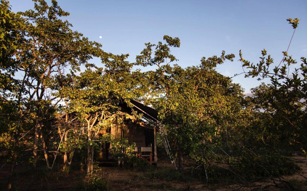 Simbavati Trails Camp Villa Timbavati Game Reserve Exterior photo