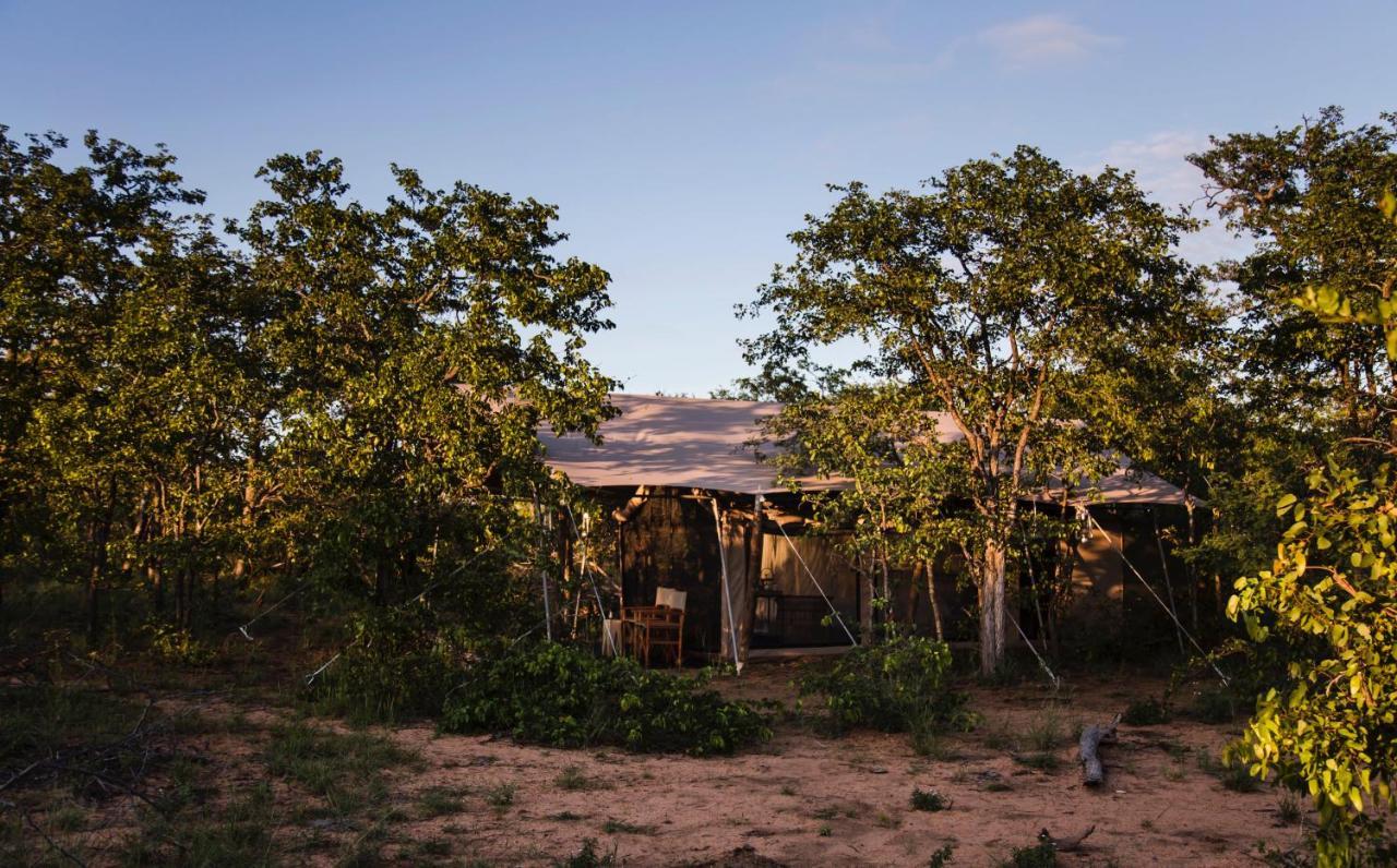 Simbavati Trails Camp Villa Timbavati Game Reserve Exterior photo