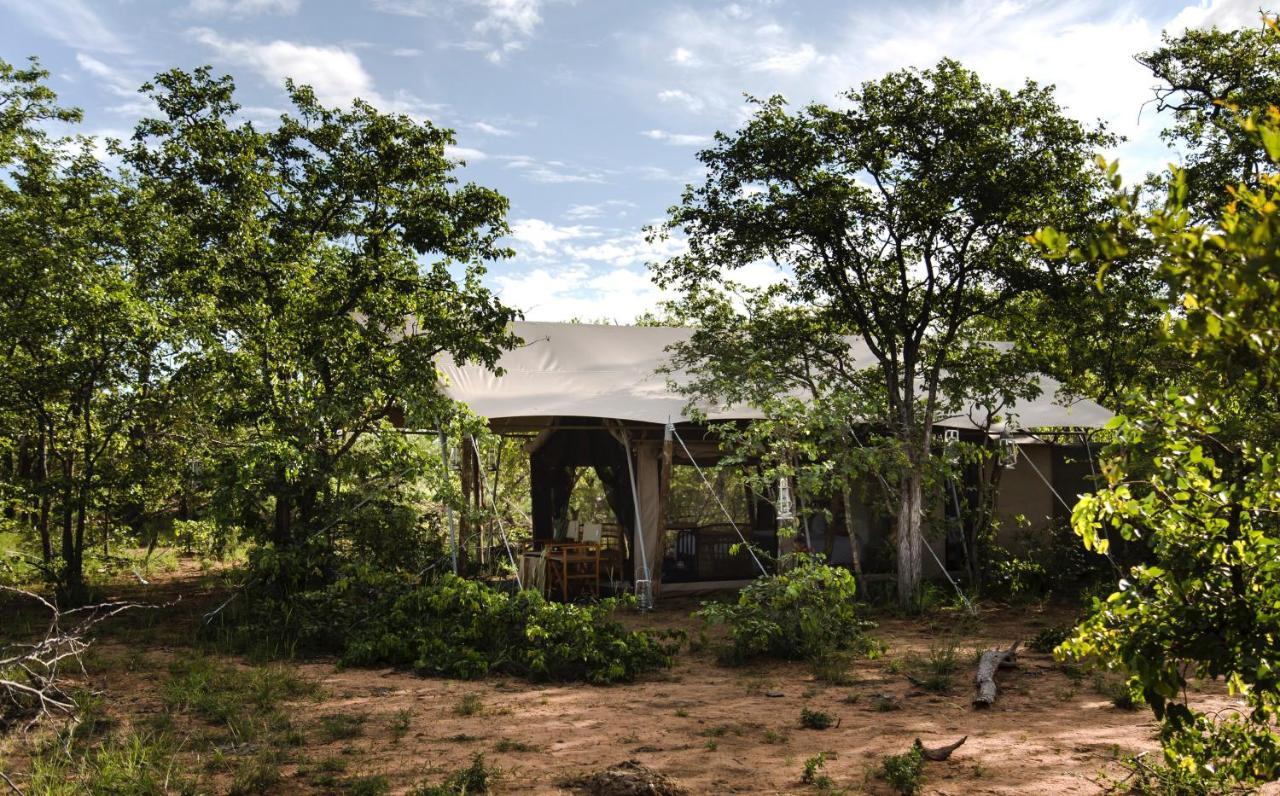 Simbavati Trails Camp Villa Timbavati Game Reserve Exterior photo